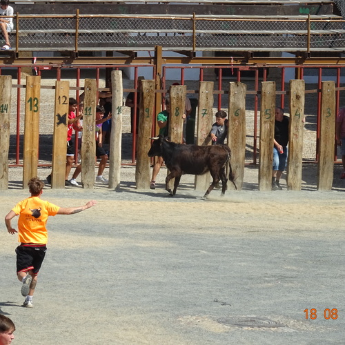 DSC03946