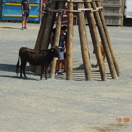 DSC03947