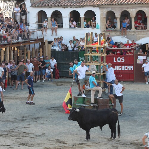 toros_2026__1