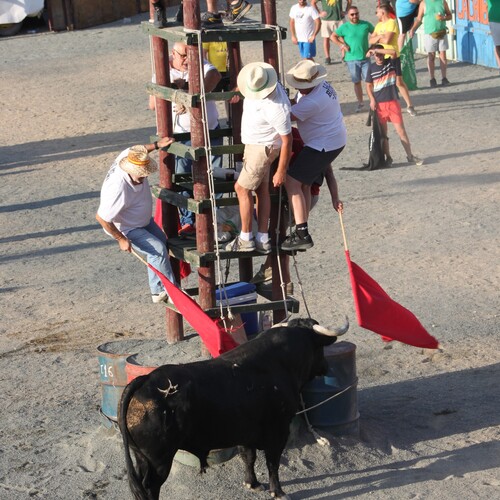 toros_2026__10