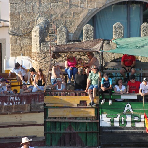 toros_2026__11