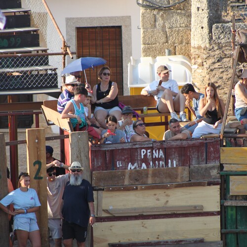 toros_2026__12