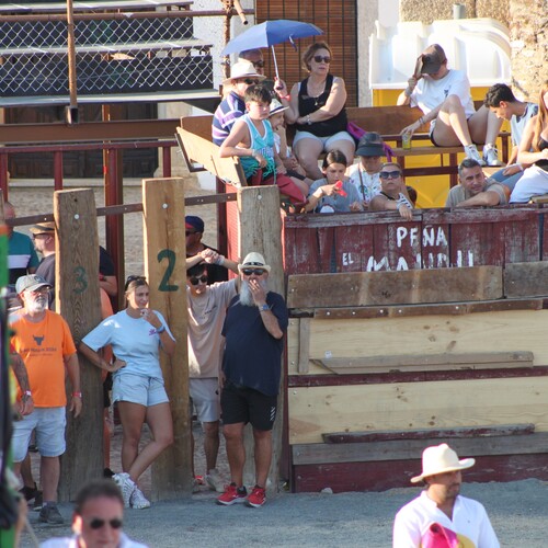 toros_2026__13