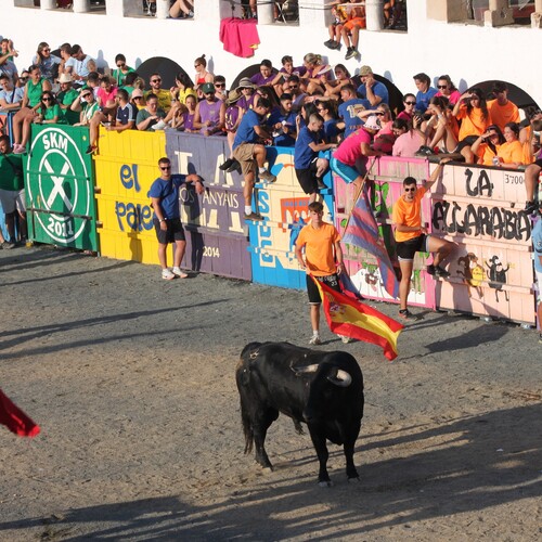 toros_2026__14