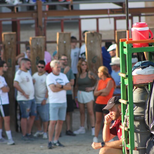 toros_2026__15