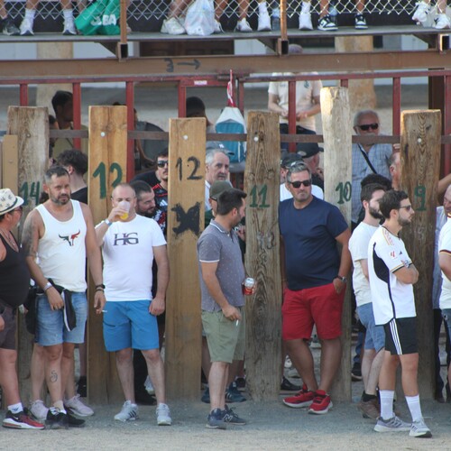 toros_2026__16