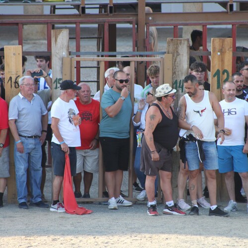 toros_2026__17