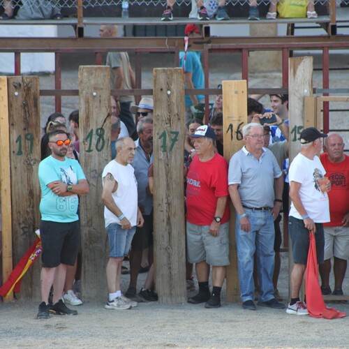 toros_2026__18