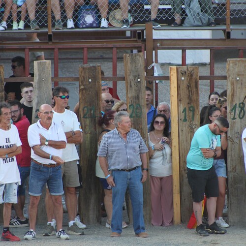 toros_2026__19