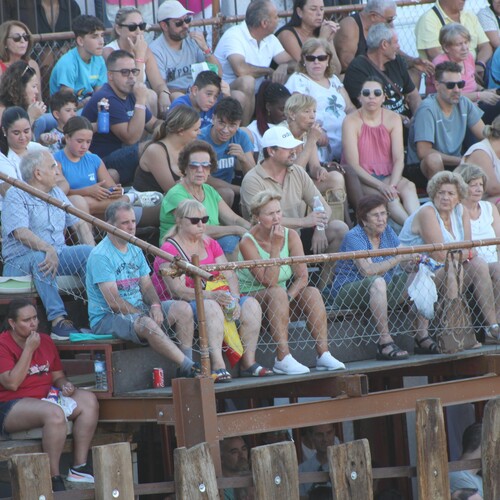 toros_2026__199