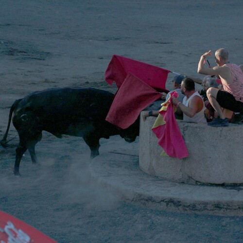 toros_2026__201