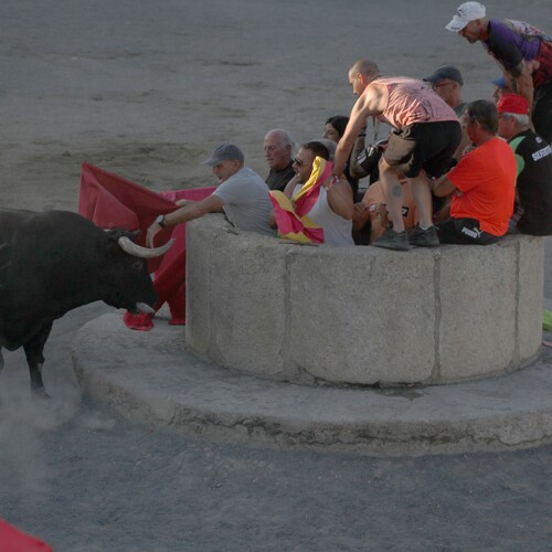 toros_2026__202