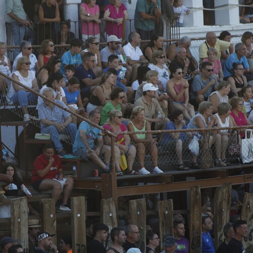 toros_2026__204