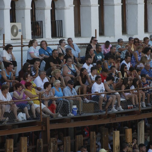 toros_2026__205