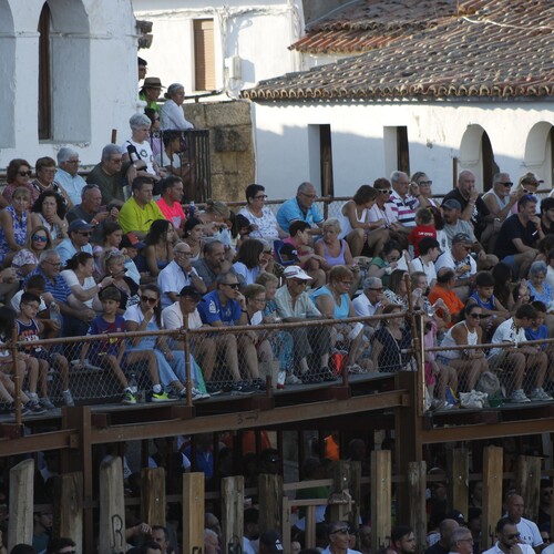 toros_2026__206