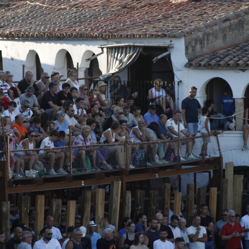 toros_2026__207