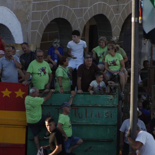 toros_2026__208