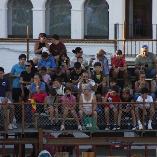 toros_2026__209