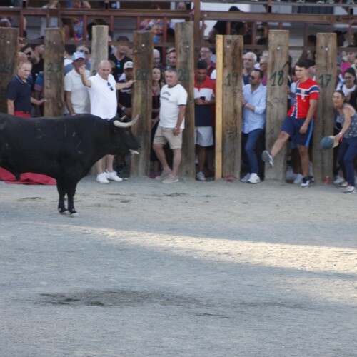 toros_2026__210