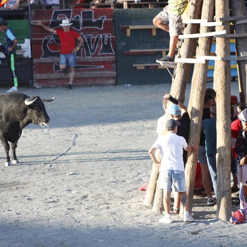 toros_2026__215
