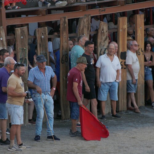 toros_2026__221