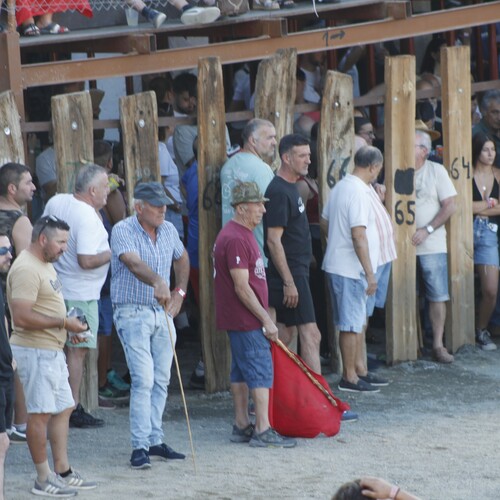toros_2026__222