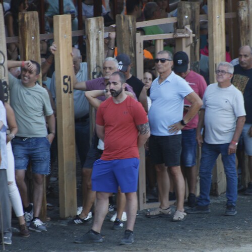 toros_2026__223