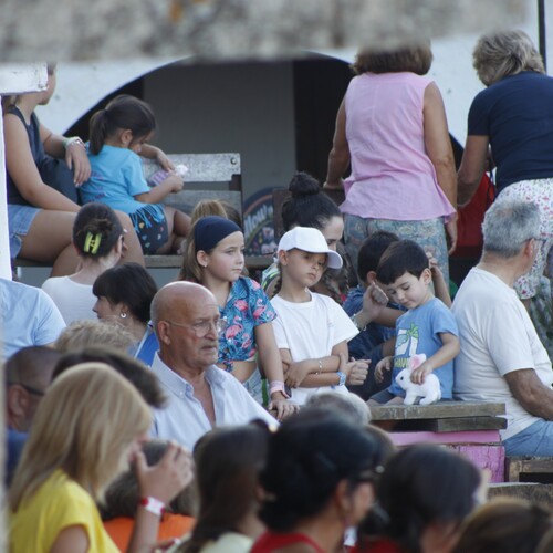 toros_2026__224