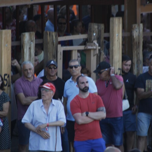 toros_2026__226