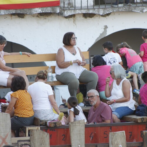 toros_2026__227