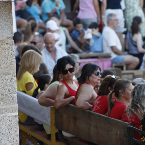 toros_2026__229