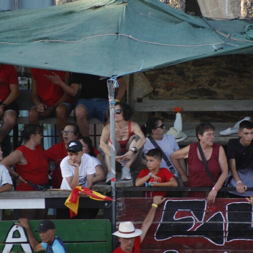toros_2026__232