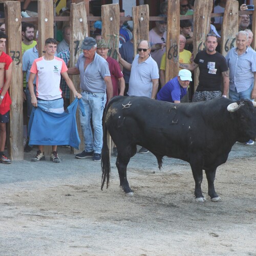 toros_2026__30