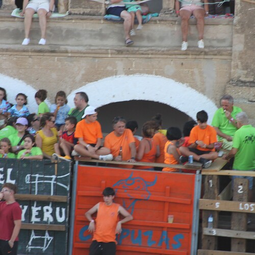 toros_2026__34