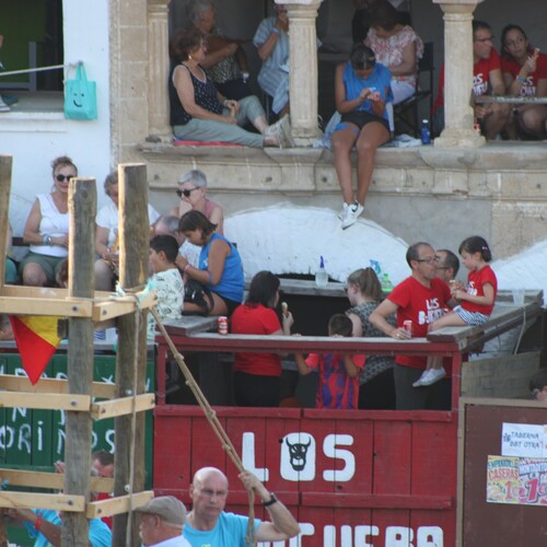 toros_2026__37
