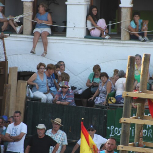 toros_2026__39