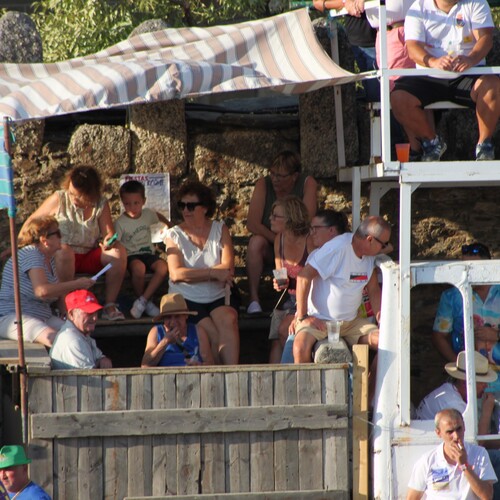 toros_2026__4
