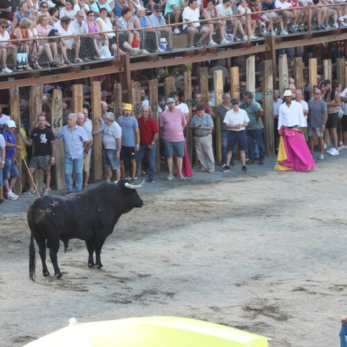 toros_2026__40