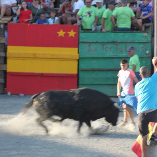 toros_2026__41