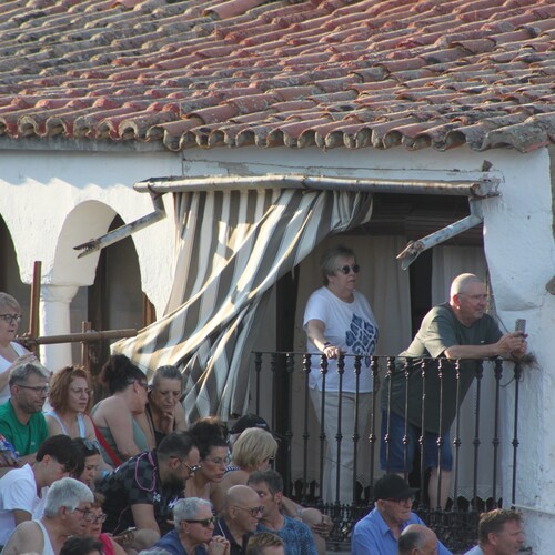 toros_2026__48