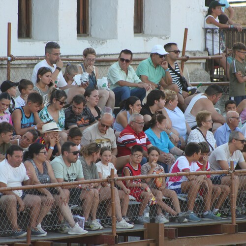toros_2026__52