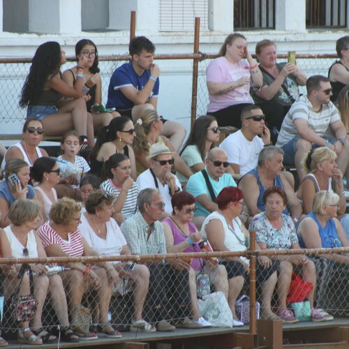 toros_2026__54
