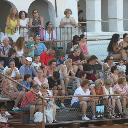 toros_2026__55
