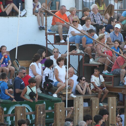 toros_2026__56