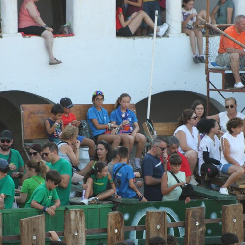 toros_2026__57