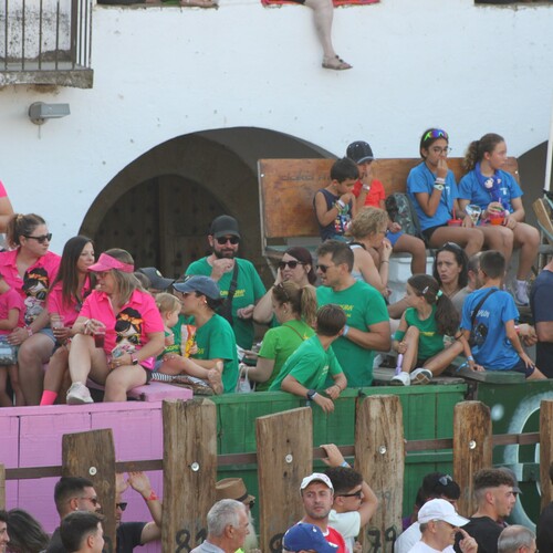 toros_2026__58