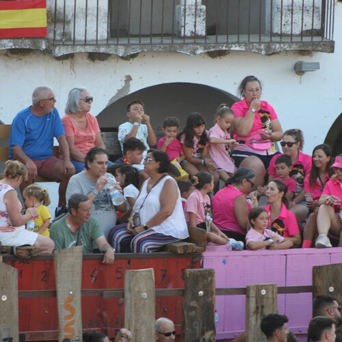 toros_2026__59