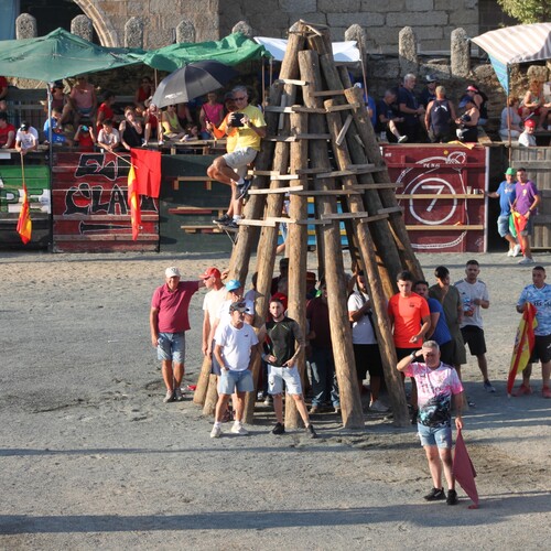toros_2026__6