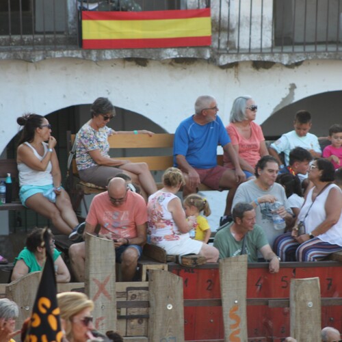 toros_2026__60