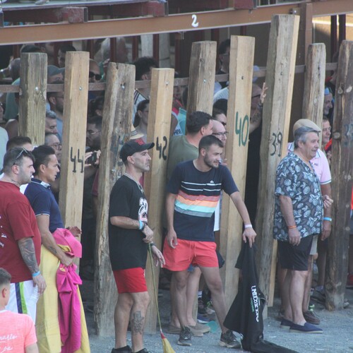 toros_2026__64